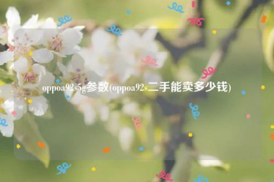 ​oppoa92s5g参数(oppoa92s二手能卖多少钱)