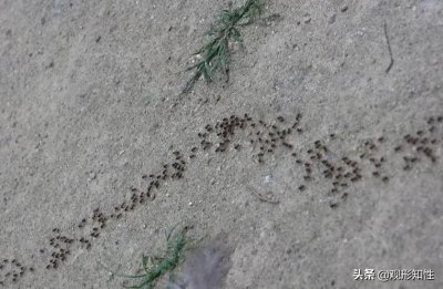 ​什么现象说明要下雨了（准时天气预报几点几分下雨）