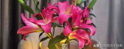 ​插在水里的花蔫了还能救活吗？怎么救活？