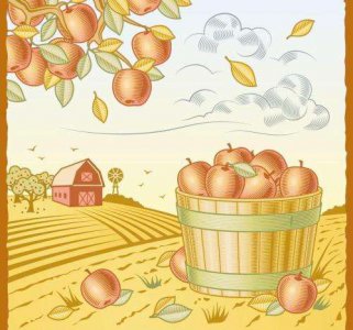 ​关于秋天的画(关于秋天的画初中)