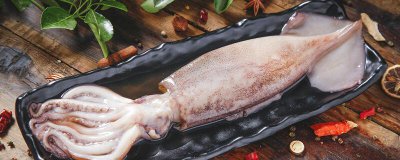 ​鱿鱼属于鱼类的是什么鱼 鱿鱼属于鱼类吗为什么