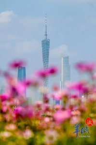 ​花畔塔影，正是踏青时