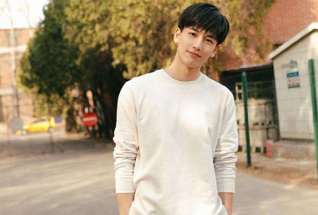南京师范大学明星张凌赫资料 因出演少女大人受关注