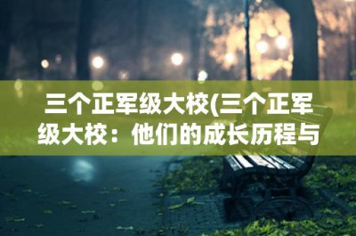 ​三个正军级大校(三个正军级大校：他们的成长历程与贡献)