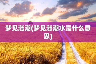 ​梦见涨潮(梦见涨潮水是什么意思)