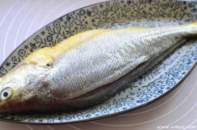 ​黄瓜鱼的做法（爱吃鱼的小猫咪们，来一道上桌既空的糖醋黄瓜鱼做法）