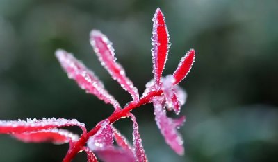​秋季湖库钓鱼注意事项  ，老钓手都知道
