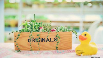 ​赞美别人的句子 赞美他人句子短句