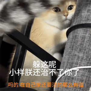 ​哈基米穿几号 哈基米国米几号