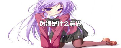 ​伪娘的是什么意思? 伪娘,什么意思?