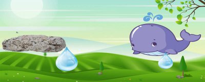 ​龙涎香是哪个动物产生的 龙涎香是什么动物身上的