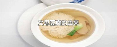 ​文思豆腐舌尖上的中国 文思豆腐什么意思