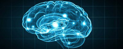 ​人的大脑有哪些功能 人类大脑有五种功能其中4种