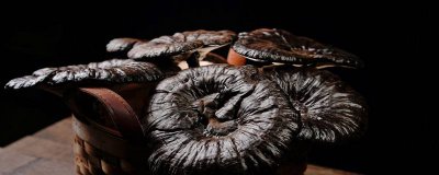 ​灵芝的功效与作用的功效与作用及禁忌症 灵芝的功效与作用中用法禁忌禁网