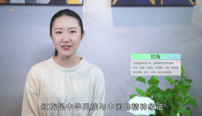 ​红梅的寓意是什么意思啊女生网名 红梅花的寓意是什么