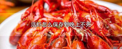 ​上午活虾怎么保存到晚上 买回家的活虾如何保存到晚上吃