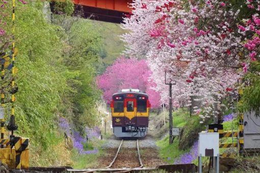 为何铁路便当成为日本代表性文化之一