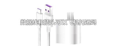 ​数据线可以托运上飞机吗国内 数据线可以托运上飞机吗现在