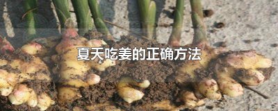 ​夏天咋吃姜 夏天吃姜怎么做好吃