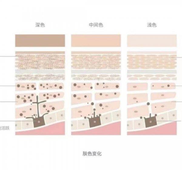 精华液应该什么时候用