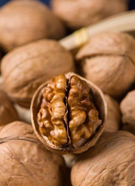 中国十大名核桃排名