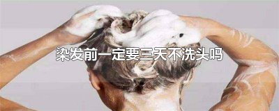 ​染头发前要几天不洗头发可以吗 染头发之前要几天不洗头