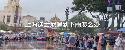 ​上海迪士尼遇到下雨怎么办 上海迪士尼遇到下雨怎么办呀