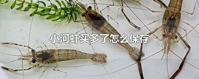 ​小河虾怎么收藏不会坏 河虾吃不完怎么保存