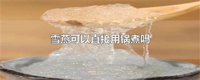 ​雪燕用锅煮多久 雪燕可以用铁锅煮吗?