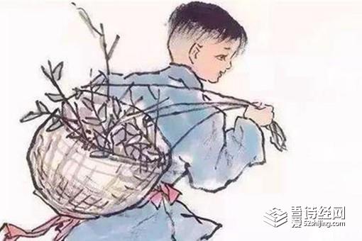 儿孙自有儿孙福的下一句是什么 后半句才是关键