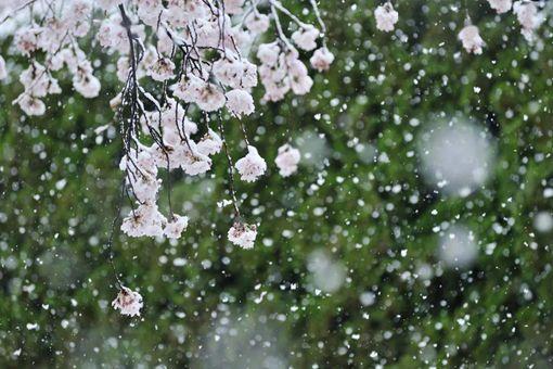 享年和终年有啥区别