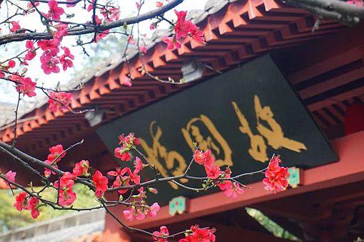 东风随春归,发我枝上花是什么意思是哪首诗(含上一句含全诗赏析)