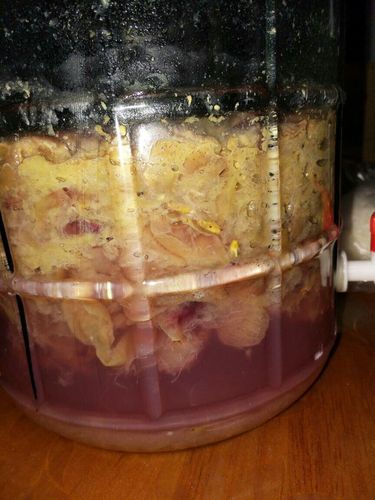 葡萄酒要分两次发酵吗