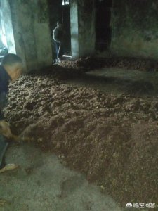 ​白酒 30年  30年的白酒值多少