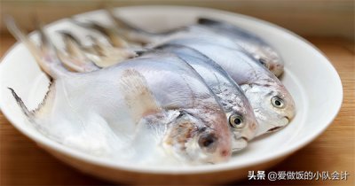 ​鲳鱼有鱼鳞吗有腥味吗（鲳鱼食用前的正确处理方法）