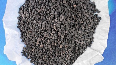 ​羊粪怎么发酵成有机肥养花