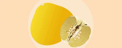 ​红柚和白柚的区别