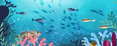 ​亚马逊雨林有哪些动物