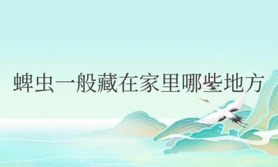 ​蜱虫一般藏在家里哪些地方