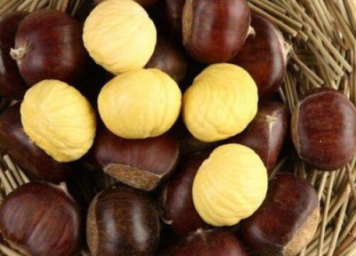 ​迁西板栗几月份成熟采摘（迁西板栗主产区在哪里）