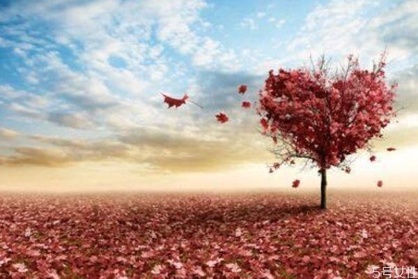 男人心里有你的表现 什么情况下说明男人心中有你 男人心里有你的表现 什么情况下说明男人心中有你