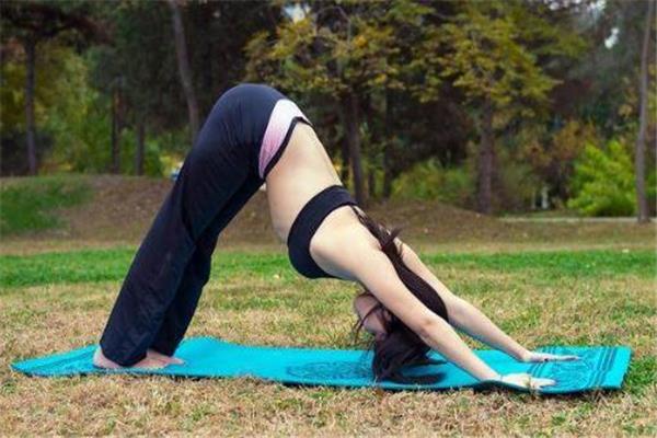 阴瑜伽适合初学者吗 非常好上手