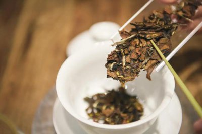 ​老白茶煮多长时间最好 老白茶年份越久越好吗