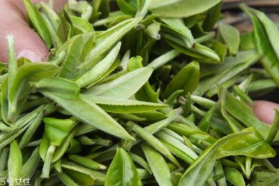 ​绿茶杀青是什么意思 绿茶杀青方式有几种