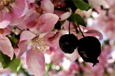 ​女人从多大开始变老 28岁发育终点