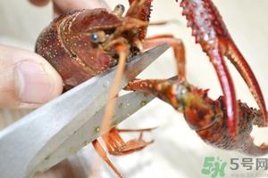 活虾怎么处理干净虾线？活虾怎么去虾线？