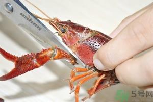 活虾怎么处理干净虾线？活虾怎么去虾线？
