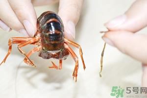 活虾怎么处理干净虾线？活虾怎么去虾线？