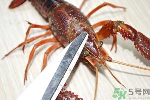 活虾怎么处理干净虾线？活虾怎么去虾线？