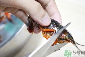 活虾怎么处理干净虾线？活虾怎么去虾线？